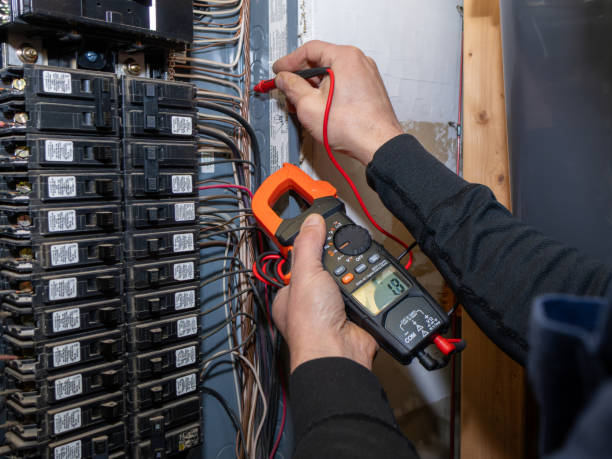 Best Local Electrician Companies  in Fruit Cove, FL